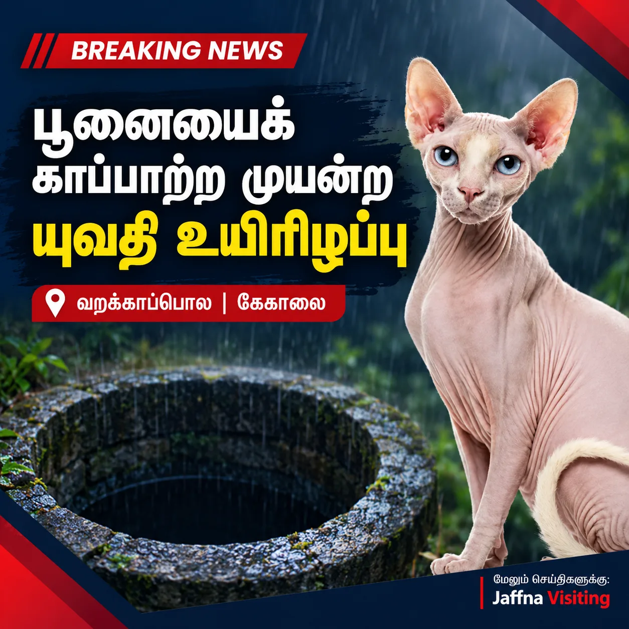 கிணற்றில் விழுந்த பூனையைக் காப்பாற்ற முயன்ற யுவதி உயிரிழப்பு: கேகாலையில் சோகம்